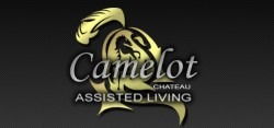 camelot-logo-final